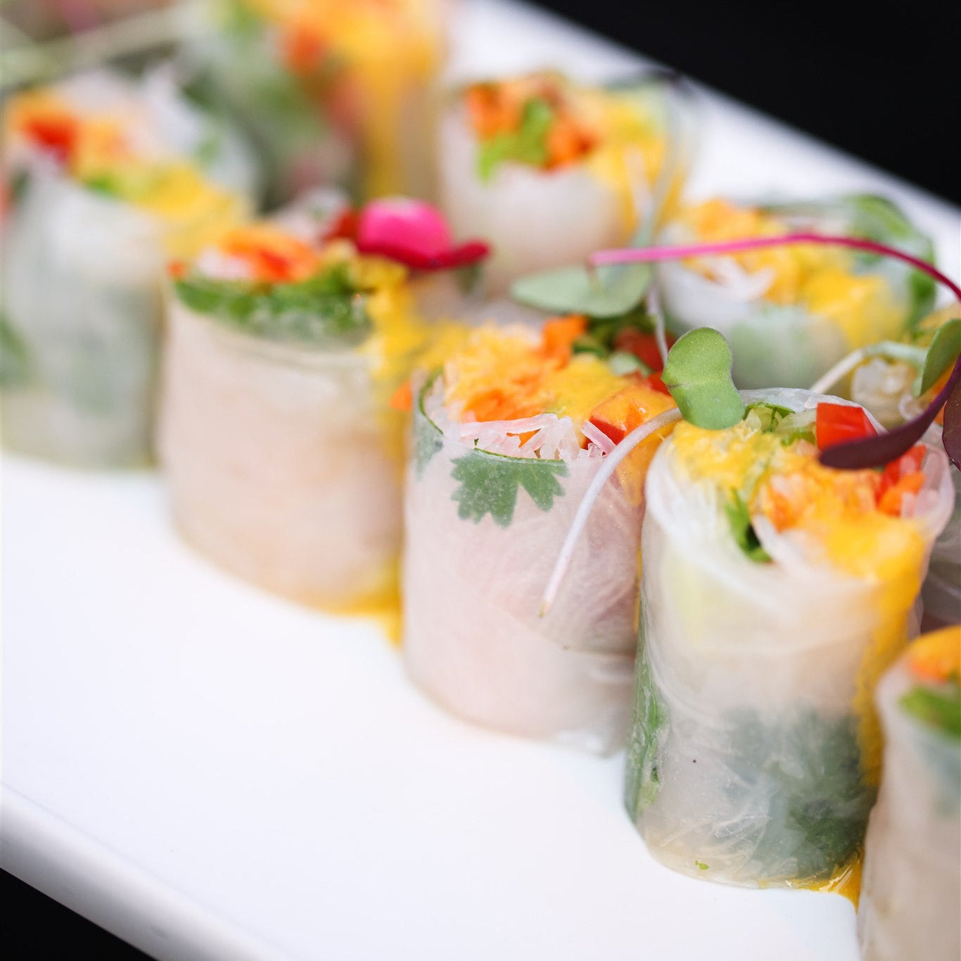 Vegetable Fresh Rolls